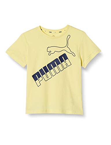 半袖 カジュアル AMPLIFIED ビッグロゴ Tシャツ ボーイズ 21年春夏カラー イエロー ピアー 120