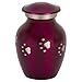 Cherish Paw Prints Extra Small Pet Cremation Urn for Ashes, Brass, Pink Pet Urn, Dog Urn, Cat Urn, Extra Small Sized Pet Urn, 3.75 Inches High
