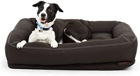 fluff and tuff sadie bear