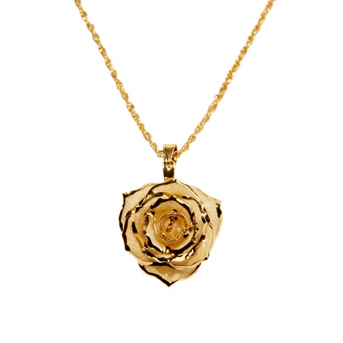 Eternal Rose Eternal Necklace 24k Gold Dipped Forever Rose Necklace
