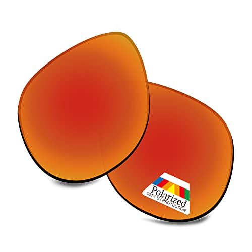 Verres polarisés Bwake pour Electric Hoodlum : lentilles de rechange performantes