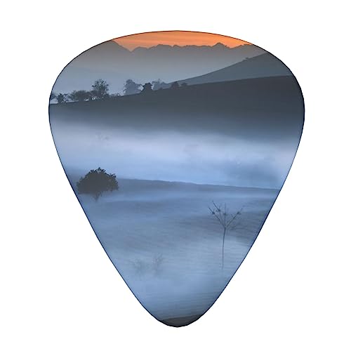 Tea Field Lot de 12 médiators tendance et durables dans une boîte pour ukulélé guitare électrique basse - Les Beatles, Paul McCartney, John Lennon, RIngo Starr, George Harrison Tea Field Lot de 12 médiators tendance et durables dans une boîte pour ukulélé guitare électrique basse