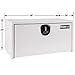 Buyers Products - 1734403 White Steel Underbody Truck Box With 3-Point Latch (24x24x30 Inch)