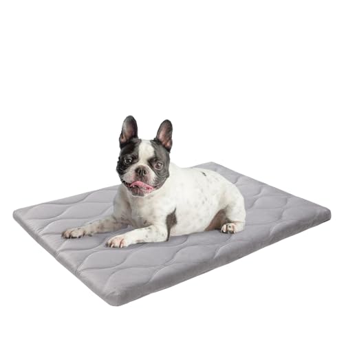 BEAUTYZOO pxbhN[g}bg \AO\ȌppbhA^pA~߃\tgӂӂqX[sO}bgXP[WpAϋv̂鋏Sn̗ǂybggxJ[xbh30 x 20C`AO[