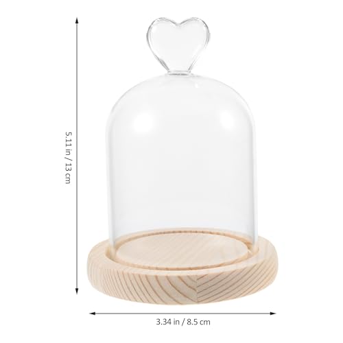 Fleur séchée en verre sous dôme cadeau idéal pour anniversaire et fête - 3