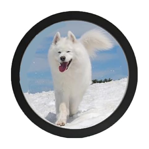 kfeity 6-Inch Round Photo Frame Cover