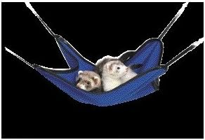 Super Pet Ferret Hanging Hammock [Set of 2]