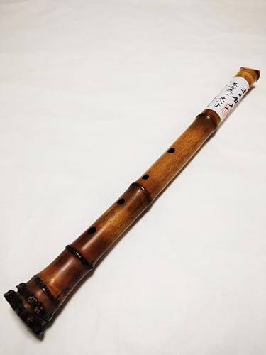 琴 楽器 尺八」の人気商品一覧 | 安い商品を通販サイトから探す - 価格.com