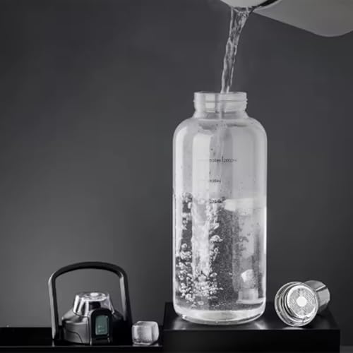Vaso de vidrio para ejercicios al aire libre con infusor de té y agua 3