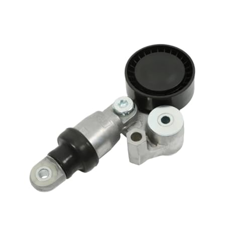 Tendeur de courroie anti-bruit avec poulie pour CX-5 3 6 moteurs 2.0L 2.5L PEY4/5/6