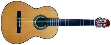 Guitarra Clásica José Torres JT-450 con Funda