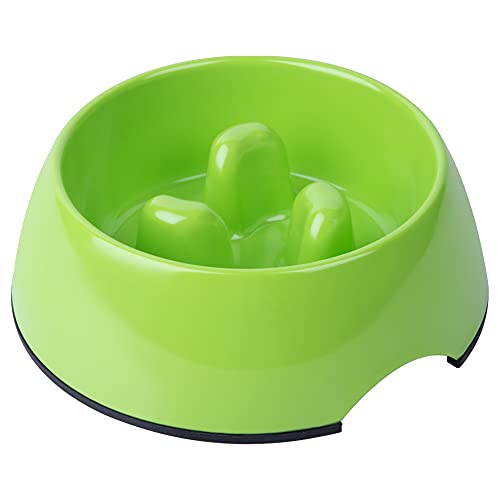 7 Best Slow Feeder Cat Bowls to Slow Down Eating (2022 Review)