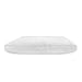 BioPEDIC Low Profile Hypoallergenic,Polyester, Flat Pillow (2 Pack),Standard/Queen, White