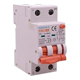 RCBO Selettivo Tipo A(S) 300mA 40A C40, 2P Veri 2 Moduli 6kA 230V Classe A Curva C, Interruttore Magnetotermico Differenziale con Doppia Leva e Diagnostica Visiva, Modello PL8M2