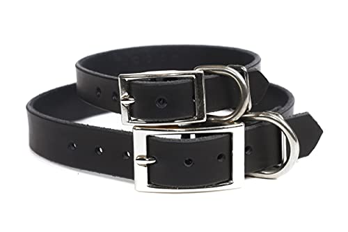 Copper Leaf Leather Handmade Studded Bridle Leather Dog Collar thumb #2