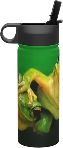 緑蛙 カエル 水筒 真空断熱 保温 保冷 スポーツボトル 人気 ステンレスボトル スポーツ飲料対応 漏れない 直飲み530ml 男の子 女の子 おしゃれ プレゼント