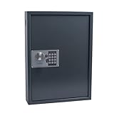 Pavo 8033911 - Caja para llaves de alta seguridad (capacidad para hasta 50 unidades), gris