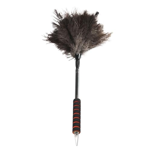 Plumero con Mango Extensible - Mopa De Polvo Suave De 160 Cm | Plumero Largo Antiestático De Plumas para Techo Ventana Rejilla Zócalo Eliminación De Pelos De Mascotas Coche Persianas