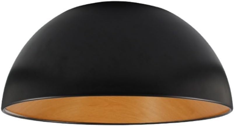 Plafonnier japonais simple LED dimmable en acrylique blanc givré moderne