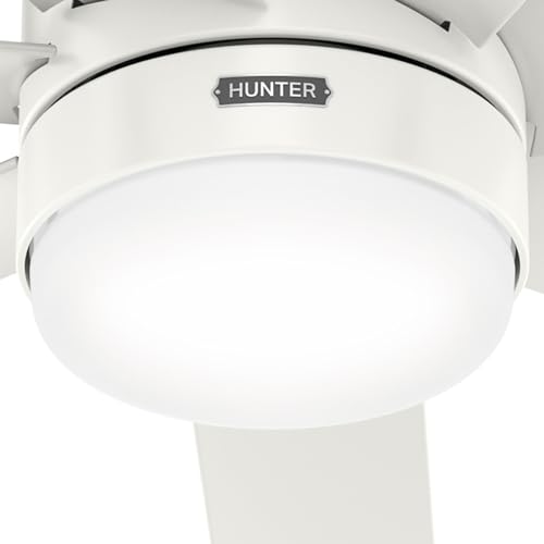 Image of Hunter Brazos Outdoor with LED Light 52 inch Fresh White - Fresh White