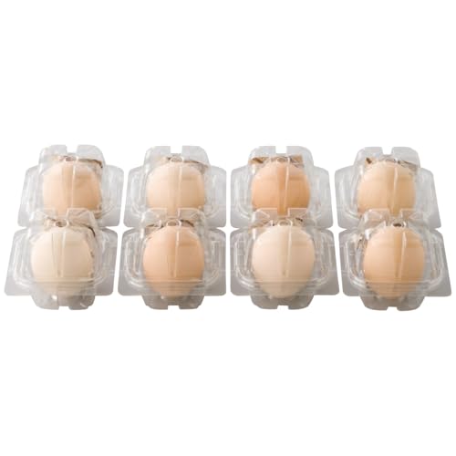 y2025 Εz k₽܂ k₽܂ ܂܂邲ƃv (n̂)