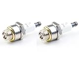 Eopzol 796112 2 Pack Spark Plug Replacement for Small Engines Compatible with Select Briggs &
