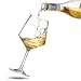 Hlukana Unbreakable Wine Glasses Set of 6, 16 oz Plastic Wine Glasses with Stem, BPA Free, Reusable Wine Glass for Poolside, Outdoors Camping Picnic Restaurants Home Bar Christmas Unique Gift
