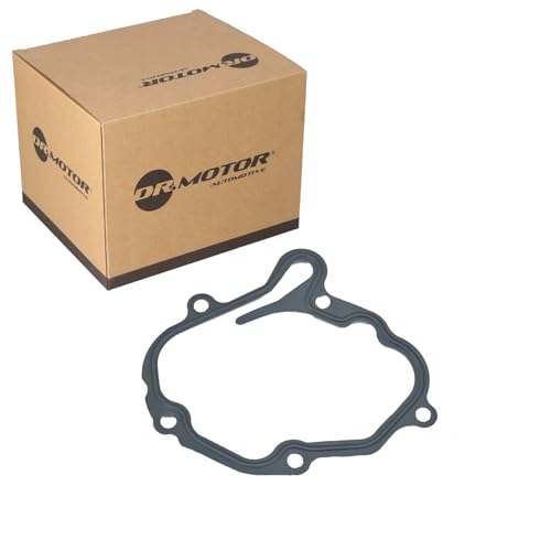 DR.MOTOR AUTOMOTIVE DRM01293 Junta bomba de vacío