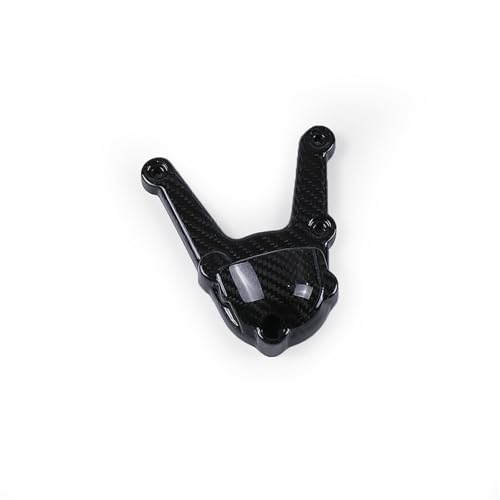 Kits de carénage carrosserie moto carbone couvercle moteur droit BMW S1000RR S1000XR