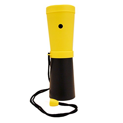 Best Loud Air Horn For Pranks