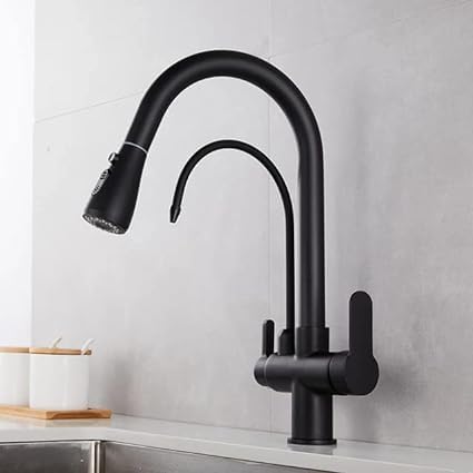Rigwell Lifetime Table Top/Countertop Mounted Kitchen Sink Mixers Pull Out Mixer with Inbuilt Provision for Undermount Water Purifier Tap (MATT Black) (B0CHYTQKN3) Amazon Price History, Amazon Price Tracker