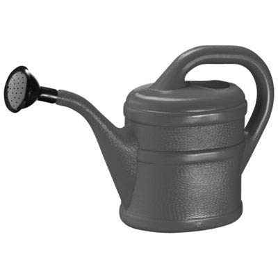 Small Indoor Watering Can with removable rose (1 Litre, Anthracite Grey)