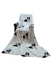 Fancy Dog Wearing Blue Glasses