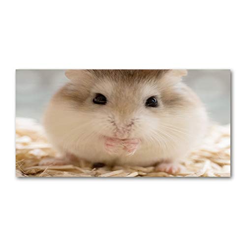 Splashback guard en verre beige pour protéger vos murs des projections de graisse