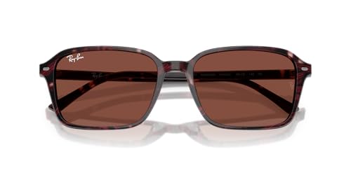 Image of Ray-Ban Sunglasses for Women & Men Raimond RB2231 Non Polarized Sunglasses | Ray-Ban Sunglasses for Men & Women - High-Bridge, Unisex Designer Sunglasses - Crystal Standard or Polarized