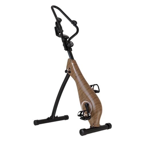 ROOMBIKE AERO