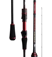 バスロッド レイドジャパン バスロッドセット 最先端バスロッドの姿がここに！2025