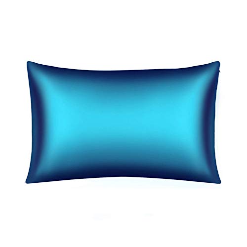 Beddengoed Pure Mulberry Zijden Kussensloop Queen Size Voor Haar en Huid met Verborgen Rits, 21 Momme 600TC Hypoallergeen Zacht Zijden Kussensloop Help slapen(Queen 20"X30",Marineblauw)