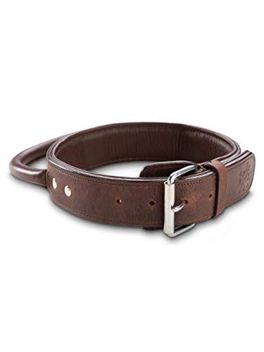 Jack & Russell Premium Leder Hunde Halsband mit Haltegriff - Leder Hundehalsband mit Ledergriff - Echtleder Halsband mit Griff - stabiles Büffelleder Jack (L)