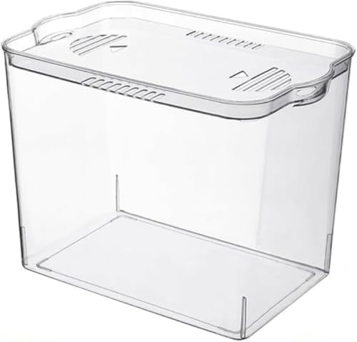 Xiraivke AvX`bNϗtAAL̉avX`bNReie[uk͔|A͔|VN CeA