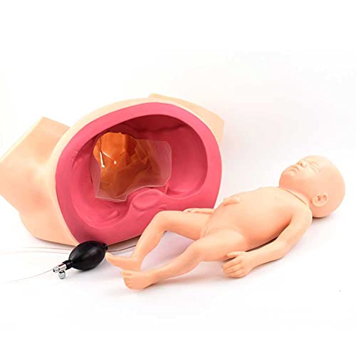 Simulateur de naissance pour surmonter les erreurs de manipulation obstétricale - 8