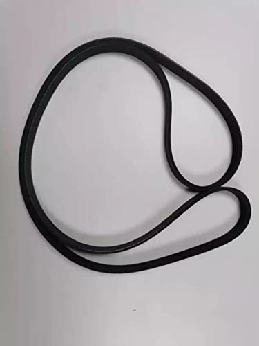 Courroie 252122B000 standard premium pour distribution BELT-2137