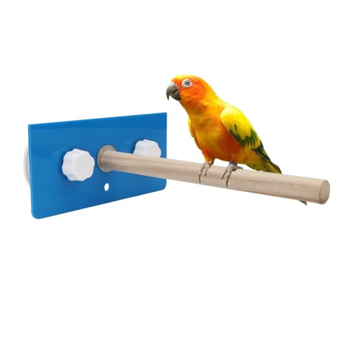 Perchoir de douche pour oiseau portable à ventouses pour bain serein - 2