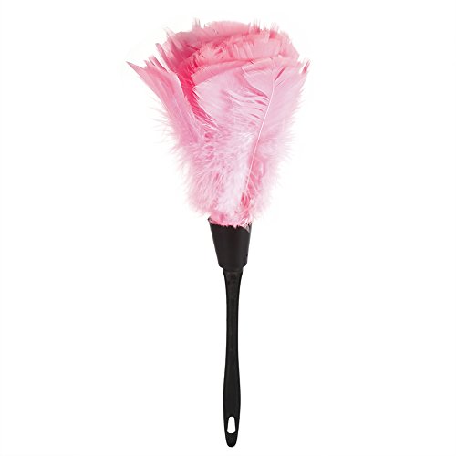YUMILI Brosse Plumeau - 5 Couleurs Brosse Plumeau Douce en Plume Dinde avec Poignée Noire, Outils de Nettoyage Voiture en Plume de Turquie Meubles Maison,...