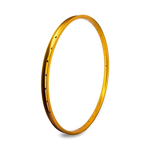 SE BIKES J24SG 29in 36H Rim