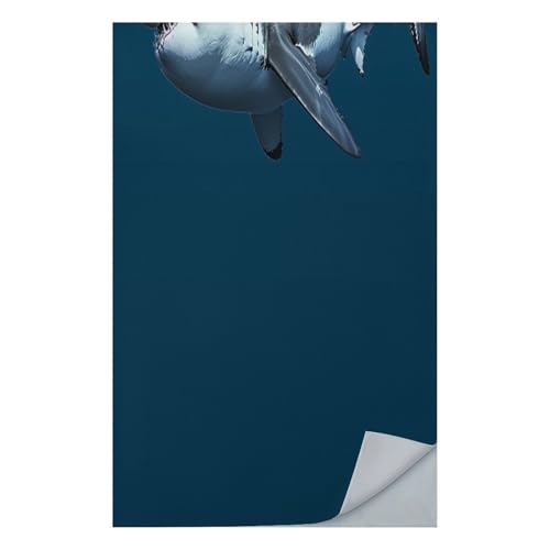 AQRJLPM Great White Shark Quick Dry Towel Cold Fabric Workout Sweat Towels Highly Absorbing Odor-Free Travel Towel for Hot Yoga Tennis Running Exercise Working Out Camping