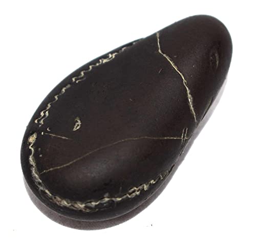 Laxmi Vishnu Paduka Shaligram - Gandaki River Nepal, Fossil, Fossil #TOP2