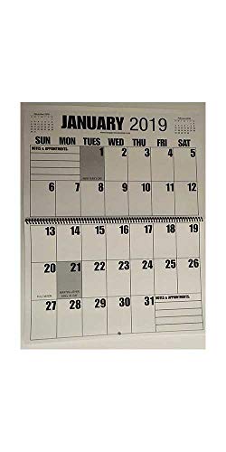Jumbo Large Print 2019 Wall Calendar 13-Months, 17