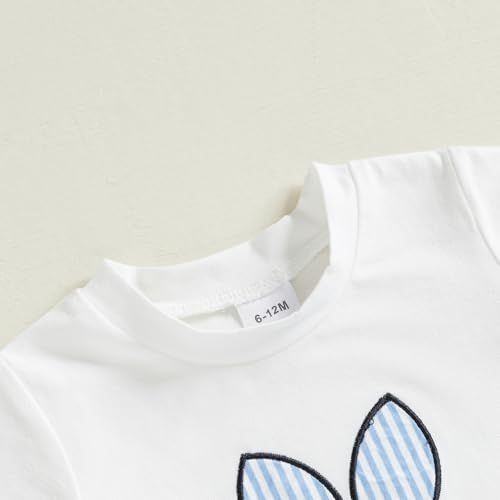 Image of Toddler Baby Boy Easter Rabbit Outfit Short Sleeve Bunny Carrot Smocked T-shirt Elastic Waist Shorts Summer Clothes