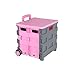 Carrello della Spesa di Grandi Dimensioni Carrello Pieghevole di Piccole Dimensioni può sedersi Carrello di plastica Portatile Vecchio Carrello 42 * 38 * 70CM (Color : Pink, Dimensione : 42CM)